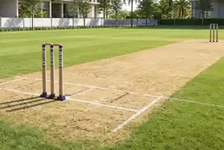 Cricket Pitch at Casagrand Evon